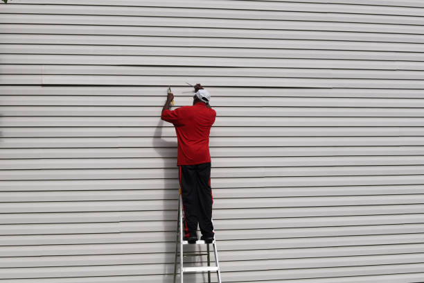 Best Siding Painting and Refinishing  in Thompsonville, PA