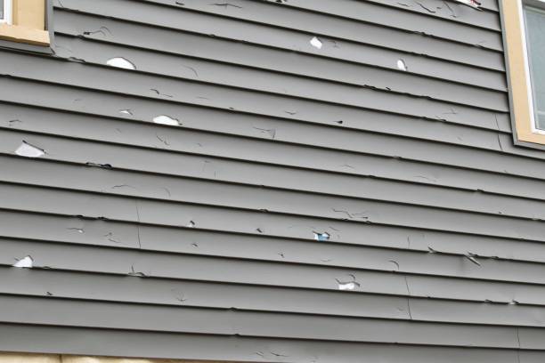 Best Custom Trim and Detailing for Siding  in Thompsonville, PA